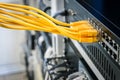 Many yellow internet wires connect to the network switch in the server room. Information technology concept. Utp cable connects
