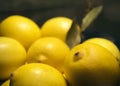 Many yellow lemons