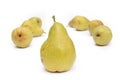 Many yellow pears Royalty Free Stock Photo