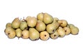 Many yellow pears isolated Royalty Free Stock Photo