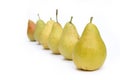 Many yellow pears in row Royalty Free Stock Photo