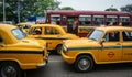 Many yellow taxis run on street in Kolkata, India Royalty Free Stock Photo