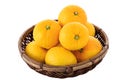 Many Yuzu fruits in the colander