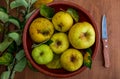 Manzanas amarillas reinetas frescas, crudas y maduras. Con hojas sobre sobre fondo de madera.
