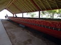 Maori Canoe at Waitangi New Zealand