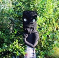 Maori Idol