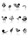 Maori Koru Design Elements Set