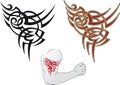 Maori tattoo design Royalty Free Stock Photo