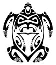 Maori turtle