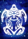 Maori turtle Royalty Free Stock Photo