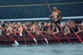 Maori waka heritage sailing in Auckland, New Zealand Royalty Free Stock Photo