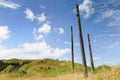 Maori Wooden Totem Poles