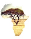 Map of africa continent concept with acacia Royalty Free Stock Photo