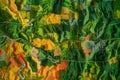 Map of agricultural fields made with LIDAR technology. GIS product made from aerial data from a drone