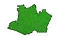 Map of Amazonas on green felt