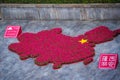 Map of China made of flowers