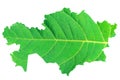 Map of Kazakhstan in green leaf texture on a white isolated background. Ecology, climate concept, 3d illustration