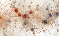 Map Neuronal Connections: Revealing Patterns and New Neurons.