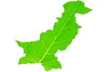 Map of Pakistan in green leaf texture on a white isolated background. Ecology, climate concept. Royalty Free Stock Photo