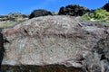 Map rock top native american petroglyphs snake river idaho