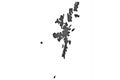 Map of Shetland Islands on dark slate