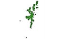 Map of Shetland Islands on green felt
