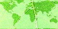 Map of the World on a Green Leaf- original image of Earth from NASA