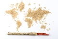 Map of the world made of raw natural rice on white background