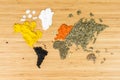 Map of the world made of white various spicies