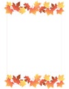 Maple Border / Autumn leaves