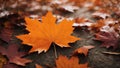 Maple border background in orange autumn,AI