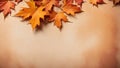 Maple border background in orange autumn, AI