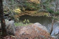 Maple Brook falls in Autumn, looking over the edge of a jutting rock face down into a pool with fallen leaves everywhere