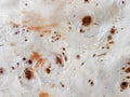 Maple burl wood grain texture. Royalty Free Stock Photo