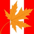 Maple Canadian Leaf.Simbol.