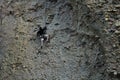 4.8.2018 - Maple Canyon, Utah Rock climbing trip on Cobb Royalty Free Stock Photo