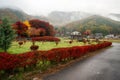 Maple corridor in autumn, Kawaguchiko, Japan Royalty Free Stock Photo