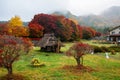 maple corridor at autumn, Kawaguchiko Royalty Free Stock Photo