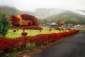 Maple corridor at autumn, Kawaguchiko Royalty Free Stock Photo