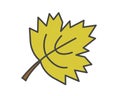 Maple Green Leaf Flat Vector Icon Royalty Free Stock Photo