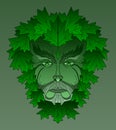 Maple Greenman Royalty Free Stock Photo