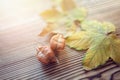 Maple and koelreuteria paniculata leaves on wooden background