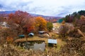 Maple (Koyo) Season in Japan Royalty Free Stock Photo