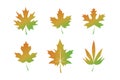 Maple Leaf Autumn Fall Icons Set with Gradient.Vector illustration Royalty Free Stock Photo