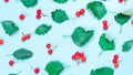 Maple leaf autumn. Green leafs, dry leaves, red fruits Rowans isolated on pastel blue background - Nature pattern. Flat lay, top Royalty Free Stock Photo