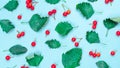 Maple leaf autumn. Green leafs, dry leaves, red fruits Rowans isolated on pastel blue background - Nature pattern. Flat lay, top Royalty Free Stock Photo