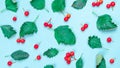 Maple leaf autumn. Green leafs, dry leaves, red fruits Rowans isolated on pastel blue background - Nature pattern. Flat lay, top Royalty Free Stock Photo