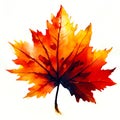 Maple leaf autumn tone seasonal theme concept fall weather on white background, generative AI