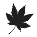 Maple Leaf Black Silhouette Autumn Fallen Object