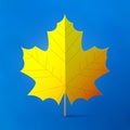 Maple Leaf on Blue Background Royalty Free Stock Photo